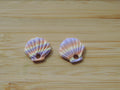 Coquillage