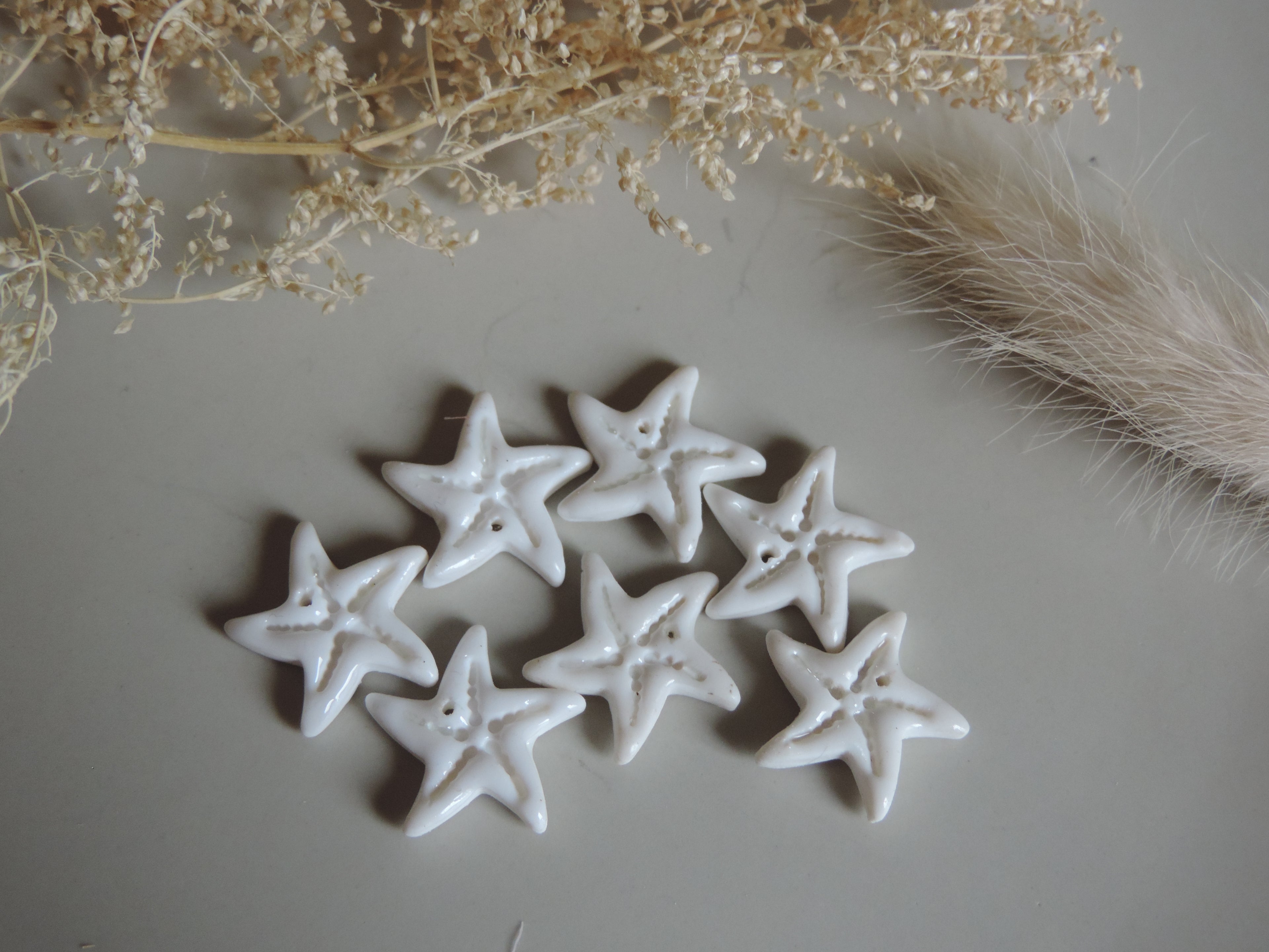 Starfish charms