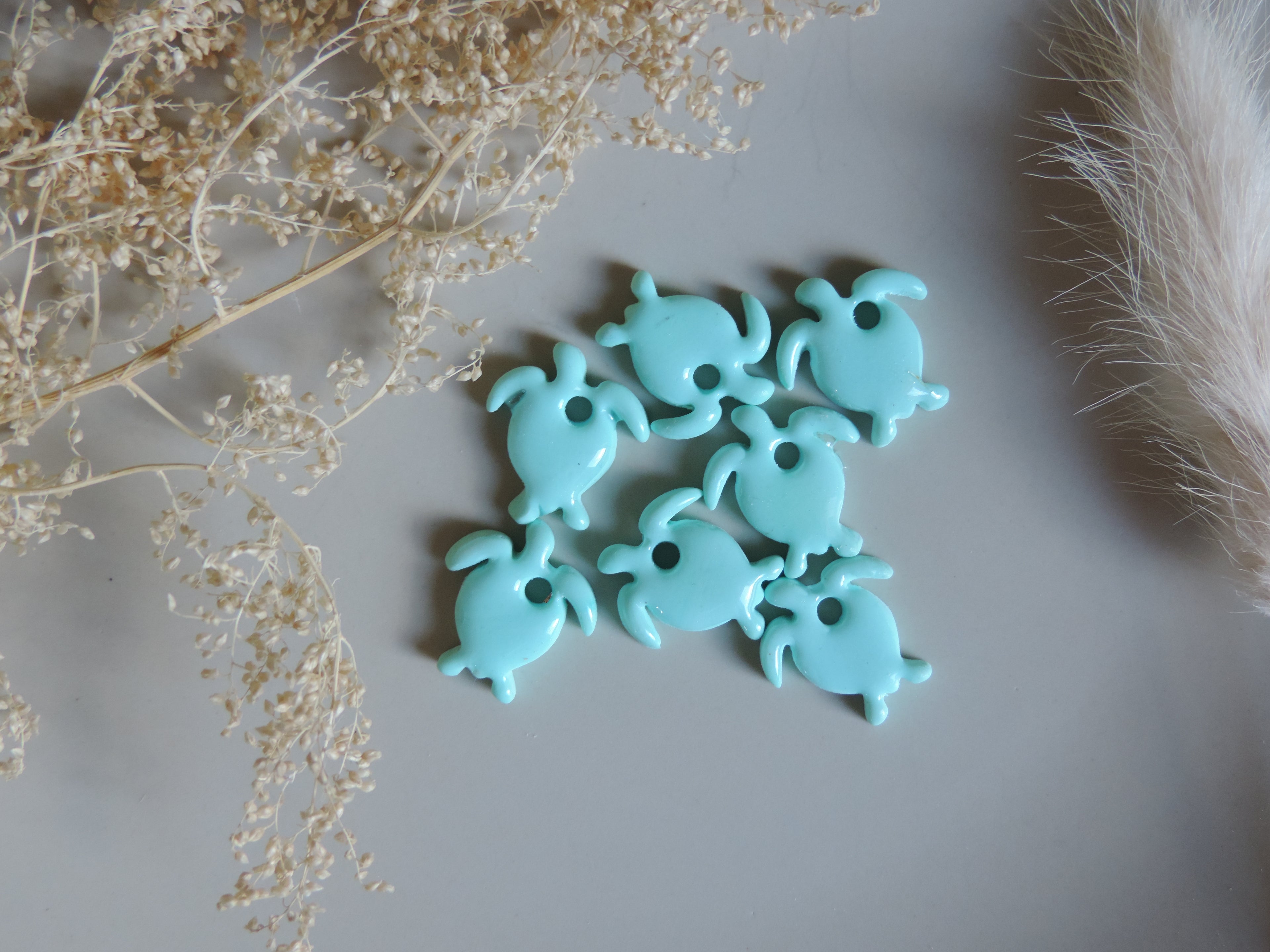Charms tortue